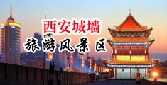 男人JJ插女人bb视频无遮盖中国陕西-西安城墙旅游风景区